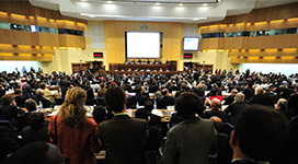 ���ݿ���(���Ρ�ku��)�ٷ���վ